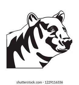 wild bear face  cartoon