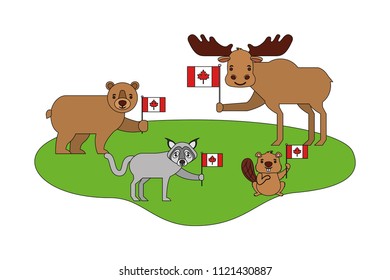 wild bear grizzly and animals with flags canadian