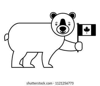 wild bear grizzly with flag canadian
