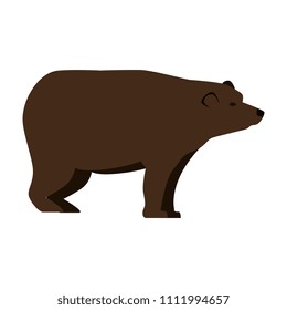 wild bear grizzly icon