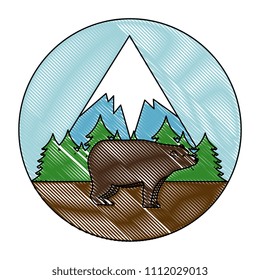 wild bear grizzly icon