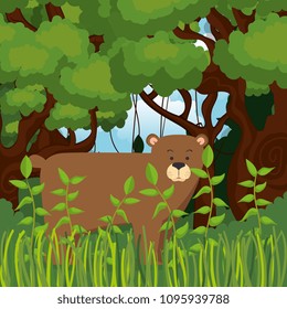 wild bear grizzly in the jungle scene
