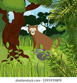wild bear grizzly in the jungle scene