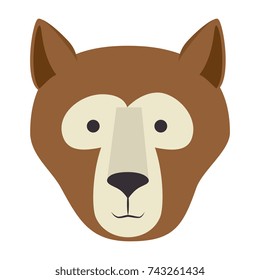 wild bear kodiak head
