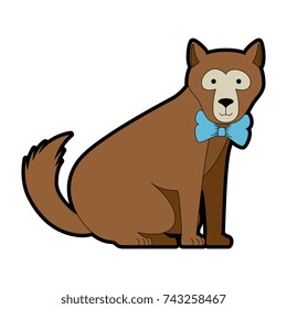 wild bear kodiak icon