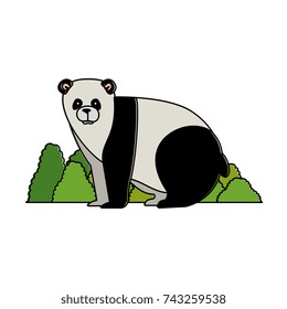 wild bear panda with bush