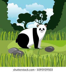 wild bear panda in the jungle scene