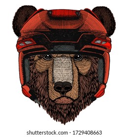 Wild bear. Portrait of animal for emblem, logo, tee shirt.