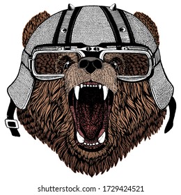 Wild bear. Portrait of animal for emblem, logo, tee shirt. Motorcycle helmet.