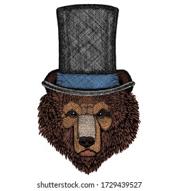 Wild bear. Portrait of animal for emblem, logo, tee shirt. Cylinder hat.