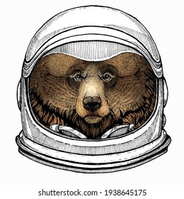 Wild bear portrait. Animal head. Grizzly bear. Astronaut animal. Vector portrait. Cosmos and Spaceman. Space illustration about travel to the moon. Funny science hand drawn illustration.