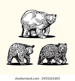 Conjunto de oso salvaje ilustración en blanco y negro