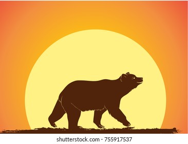 Wild Bear Silhouette in Evening Vector