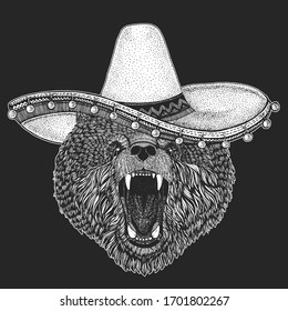 Wild bear. Sombrero is traditional mexican hat. Mexico. Portrait of animal for emblem, logo, tee shirt.