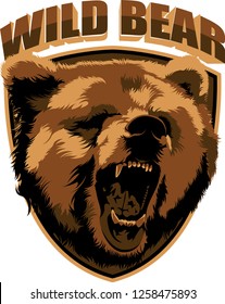 wild bear vector