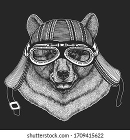 Wild bear. Vintage leather motorcycle helmet. Portrait of animal for emblem, logo, tee shirt.