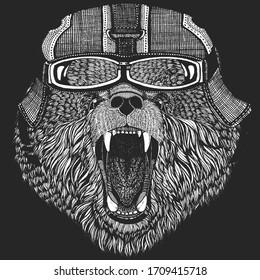 Wild bear. Vintage motorcycle leather helmet. Portrait of animal for emblem, logo, tee shirt.