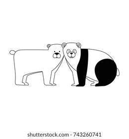 wild bears panda and grizzly