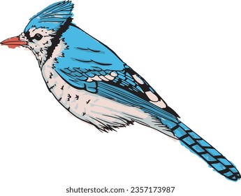 Wild-schöner blauer Jay sitzend