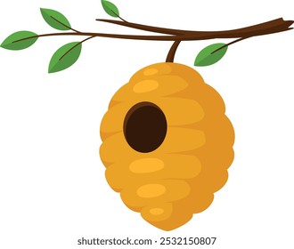 Wild beehive hanging on tree. Natural insect home