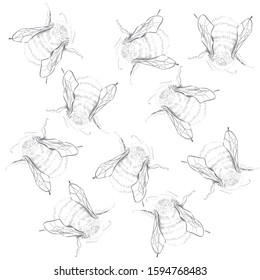Wild Bees Drawing Background Illustration