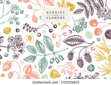 Wild berries background in color. Seasonal fruits and flowers frame design. Hand drawing. Hand drawn summer berries - strawberry, raspberry, blackberry, blueberry, cherry, cranberry template.