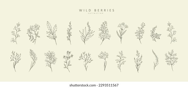 Wild berries branch and leaves set. Hand drawn line wedding herb, elegant leaves for logo, invitation save the date card. Botanical rustic trendy greenery