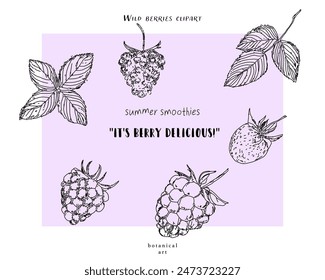 Wild berries clipart, herbs leaves, funny summer quotes, lettering elements. Sketched hand drawn texture, abstract art, artistic, vector botanical illustration. contemporary doodles