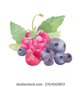 Wild berries collection. watercolour berries for juice, jam, smoothies package 