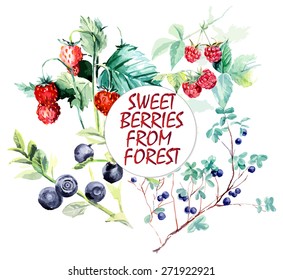 Wild berries from forest. Branch raspberry, bilberry and wild strawberry. Forest miniatures. Watercolor hand drawn vector illustration
