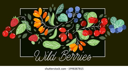 Wild berries fresh and ripe tasty healthy food vector flat style illustration over dark background, delicious vegetation diet eating, organic food.