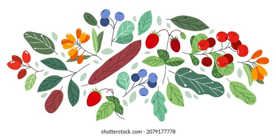 Wild berries fresh and ripe tasty healthy food with leaves vector flat style illustration isolated over white, delicious vegetation diet eating, nature gifts.