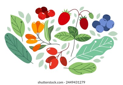 Wild berries fresh and ripe tasty healthy food with leaves vector flat style illustration isolated over white, delicious vegetation diet eating, nature gifts.