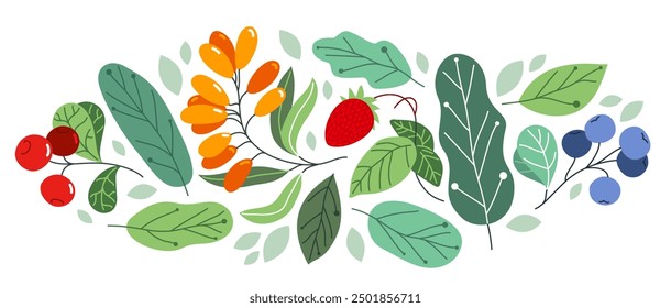 Wild berries fresh and ripe tasty healthy food with leaves vector flat style illustration isolated over white, delicious vegetation diet eating, nature gifts.