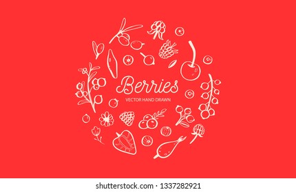 Wild Berries and fruits vector set. Raspberry, Cherry, strawberry, blackberry and other summer harvest. Hand drawn isolated objects on white. Botanical doodle illustration
