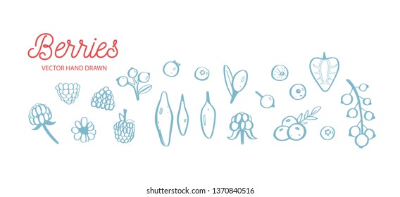 Wild Berries and fruits vector set. Raspberry, Cherry, strawberry, blackberry and other summer harvest. Hand drawn isolated objects on white. Botanical doodle illustration
