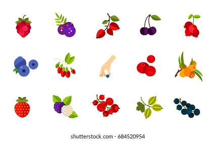 Wild berries icon set