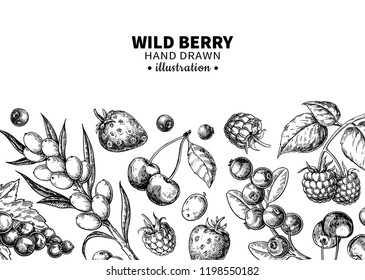 Wild berry drawing. Hand drawn vintage vector frame. Summer fruit set of strawberry, cranberry, currant, cherry, srawberry, blueberry. Detailed organic food template for menu,  jam label, tea banner