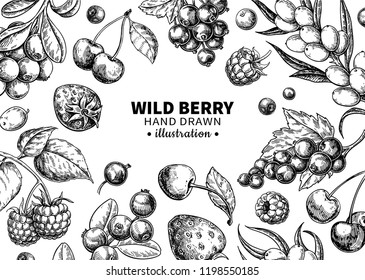 Wild berry drawing. Hand drawn vintage vector frame. Summer fruit set of strawberry, cranberry, currant, cherry, srawberry, blueberry. Detailed organic food template for menu,  jam label, tea banner