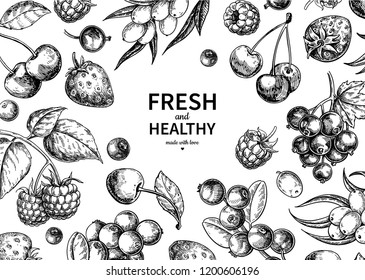 Wild berry drawing. Hand drawn vintage vector frame. Summer fruit set of strawberry, cranberry, currant, cherry, srawberry, blueberry. Detailed organic food template for menu,  jam label, tea banner
