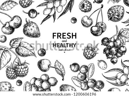 Wild berry drawing. Hand drawn vintage vector frame. Summer fruit set of strawberry, cranberry, currant, cherry, srawberry, blueberry. Detailed organic food template for menu,  jam label, tea banner