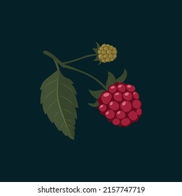 Wild berry. Raspberry red from the forest or garden. Forest gifts	
