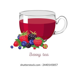 Wild berry tea. Glass cup with hot drink and fresh berries. Vector cartoon illustration.