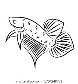 Wild Betta Line Art, Minimalist Vector.