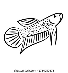 Wild Betta Line Art, Minimalist Vector.