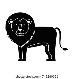 wild and big lion