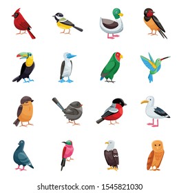 Wild bird cartoon vector icon.Isolated illustration of wild animal.Vector set of icon bird.