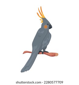 wild bird design over white