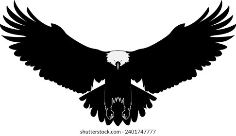 Un águila silvestre vuela con alas estiradas. Esbozo lineal de dibujo vectorial aislado en fondo blanco.