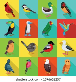 Wild bird flat vector icon.Isolated illustration of wild animal.vector set of icon bird.